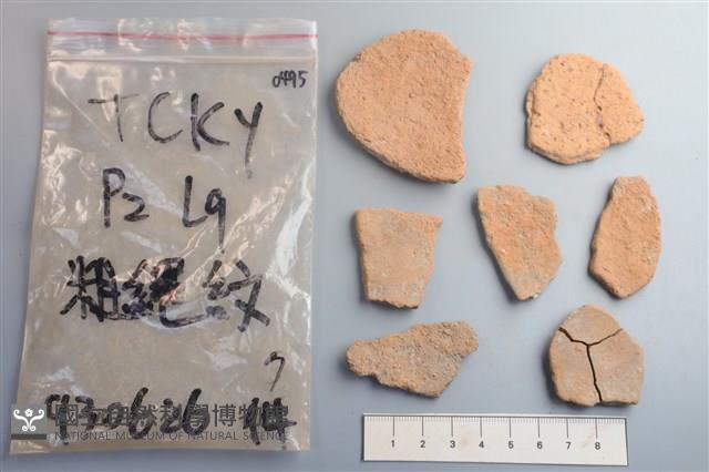 陶片藏品圖，第2張