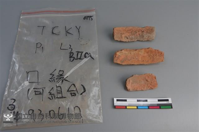 陶片藏品圖，第2張