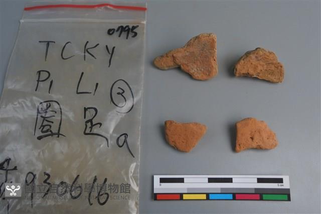 陶片藏品圖，第2張