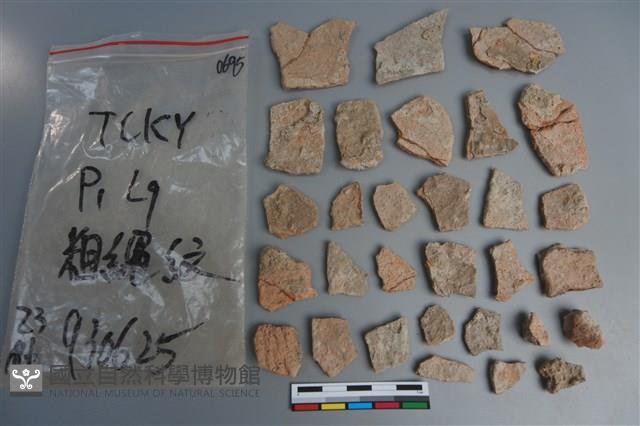 陶片藏品圖，第2張