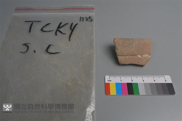 陶片藏品圖，第2張