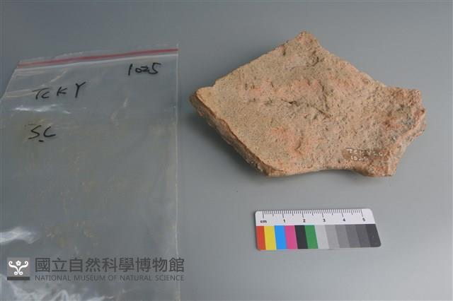 陶片藏品圖，第2張