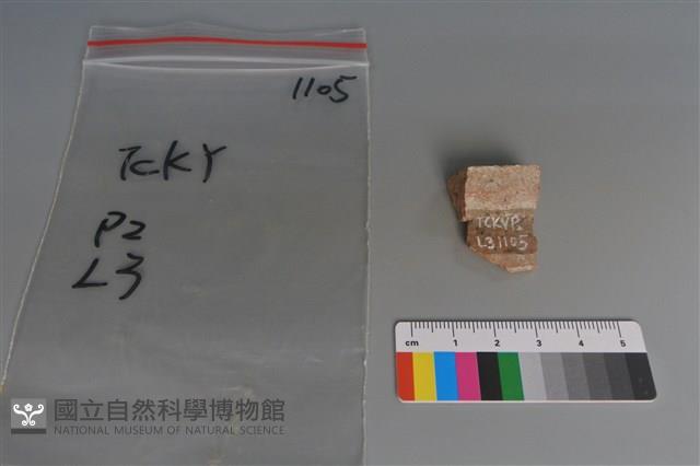 陶片藏品圖，第2張