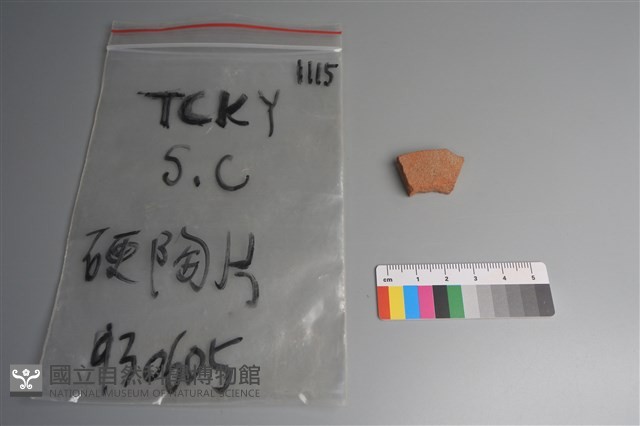 陶片藏品圖，第2張