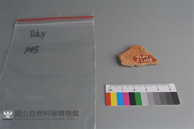 陶片藏品圖，第2張