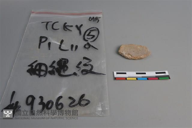 陶片藏品圖，第2張