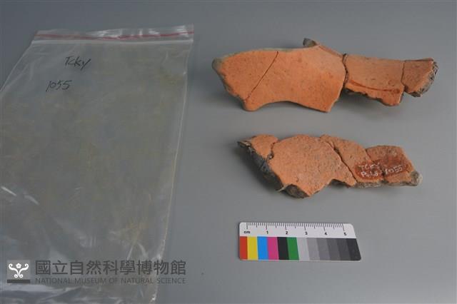 陶片藏品圖，第2張