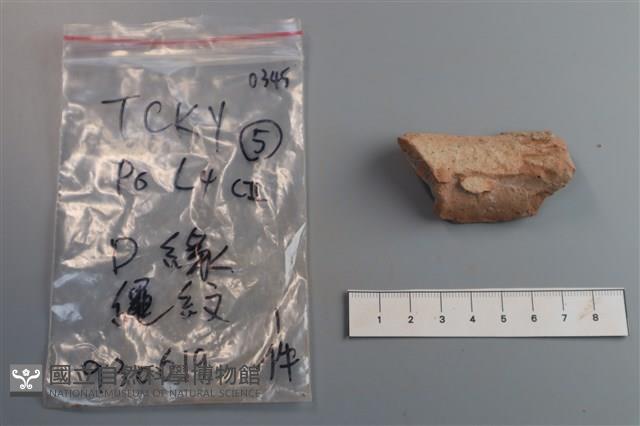 陶片藏品圖，第2張