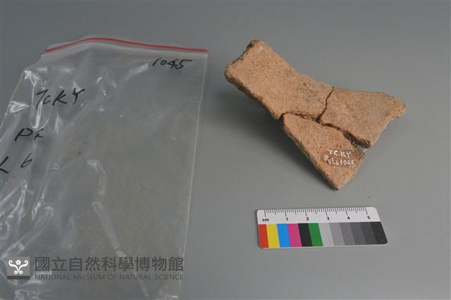 陶片藏品圖，第2張