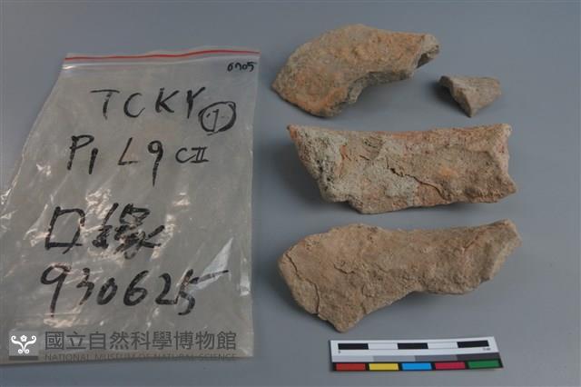 陶片藏品圖，第2張