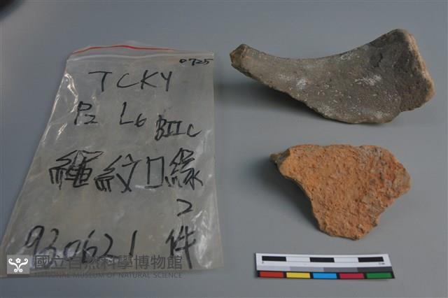 陶片藏品圖，第2張