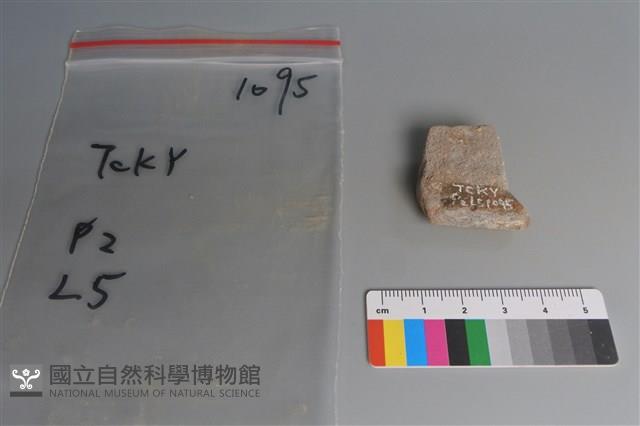 陶片藏品圖，第2張