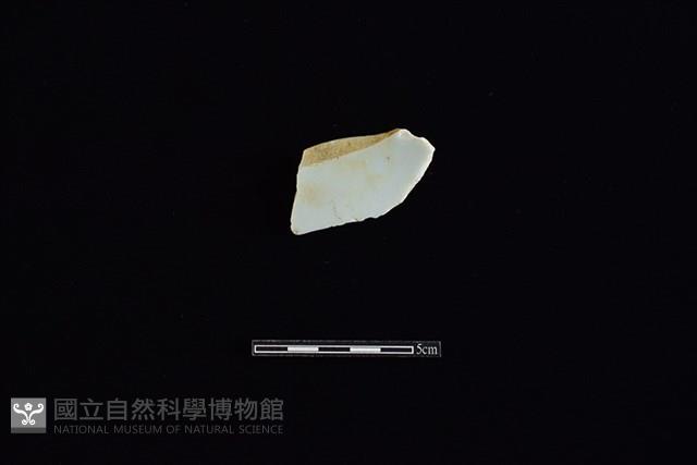 盤藏品圖，第2張