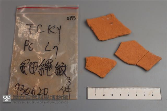陶片藏品圖，第2張