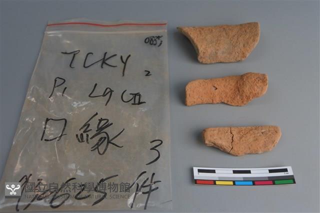 陶片藏品圖，第2張