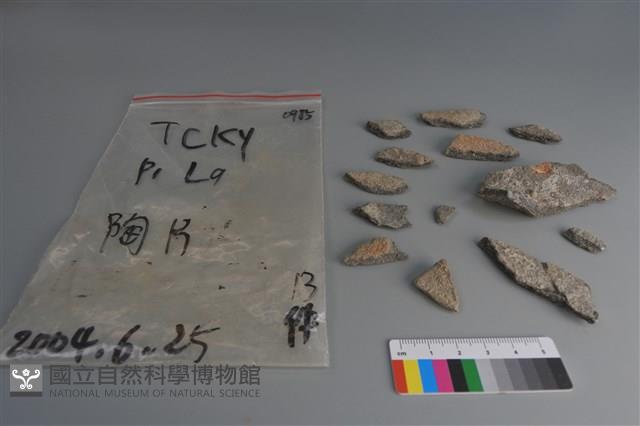 陶片藏品圖，第2張