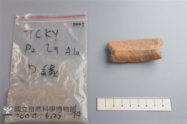 陶片藏品圖，第2張