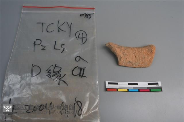 陶片藏品圖，第2張