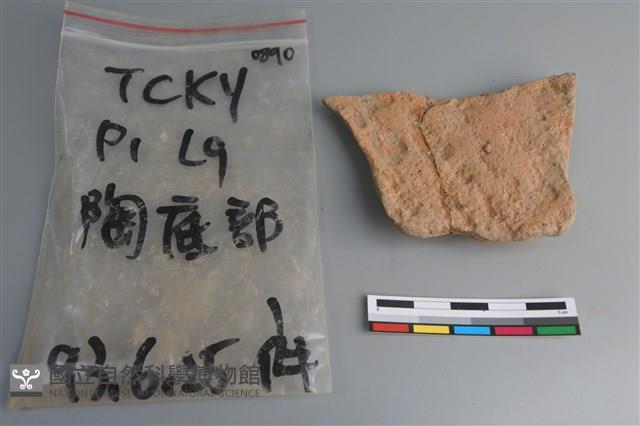 陶片藏品圖，第2張