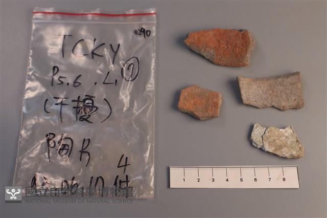 陶片藏品圖，第2張