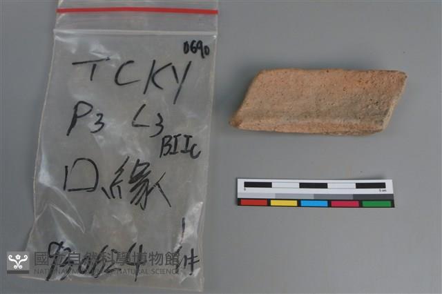 陶片藏品圖，第2張