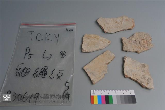 陶片藏品圖，第2張