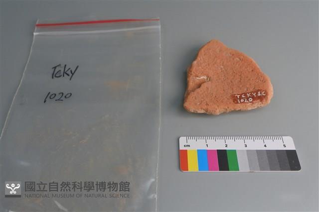 陶片藏品圖，第2張