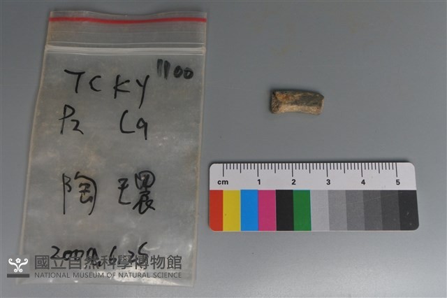陶環藏品圖，第2張