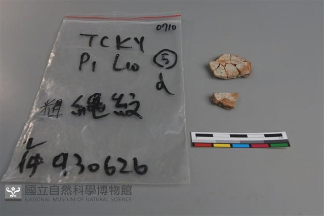 陶片藏品圖，第2張