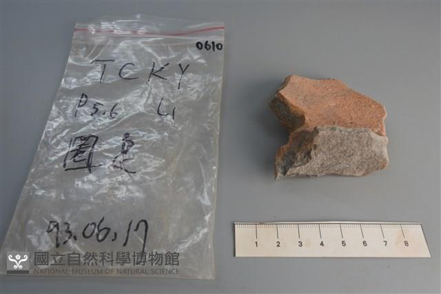 陶片藏品圖，第2張