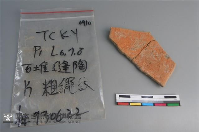 陶片藏品圖，第2張