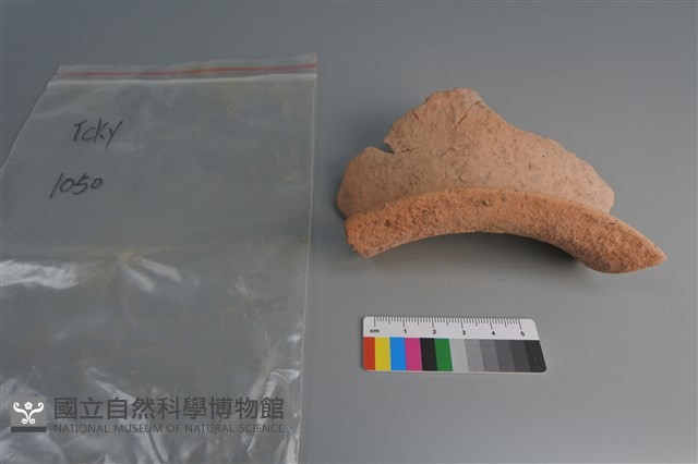 陶片藏品圖，第2張