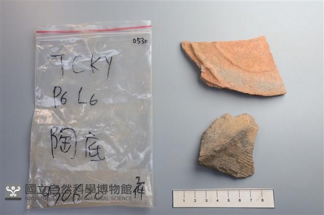 陶片藏品圖，第2張