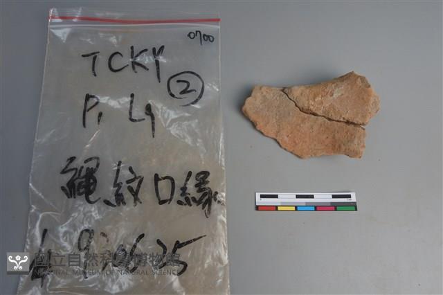 陶片藏品圖，第2張