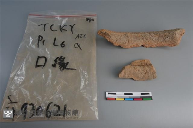 陶片藏品圖，第2張