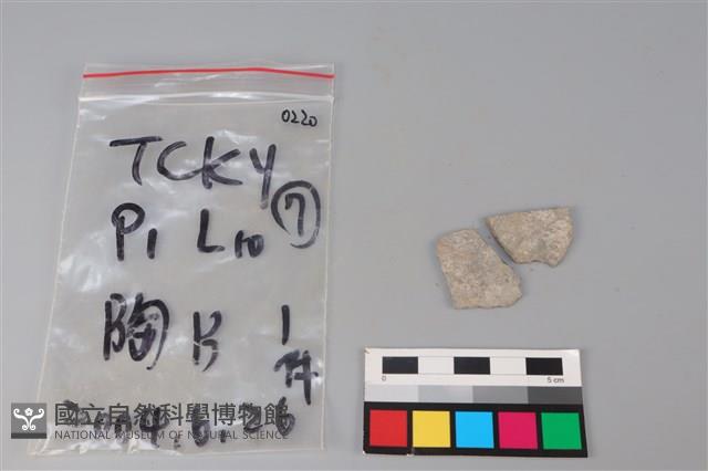 陶片藏品圖，第2張