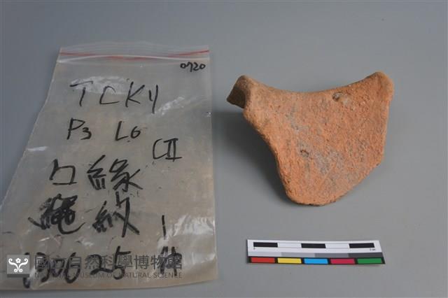 陶片藏品圖，第2張