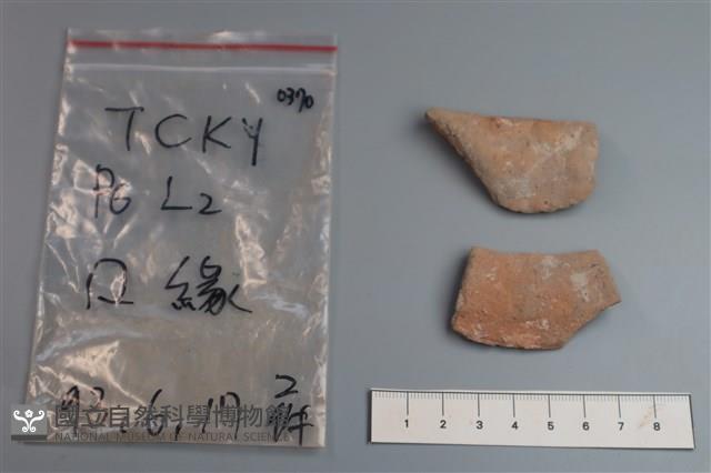 陶片藏品圖，第2張