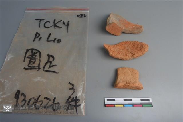 陶片藏品圖，第2張