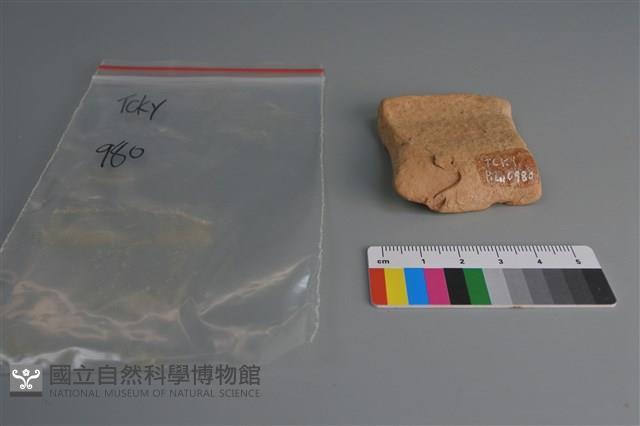 陶片藏品圖，第2張