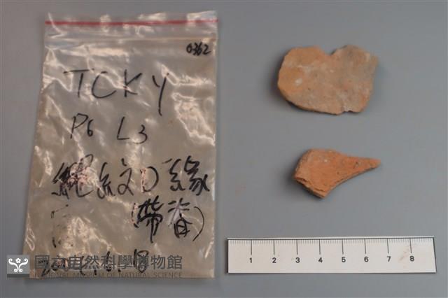 陶片藏品圖，第2張