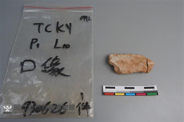 陶片藏品圖，第2張