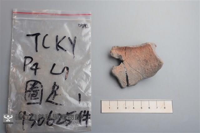 陶片藏品圖，第2張