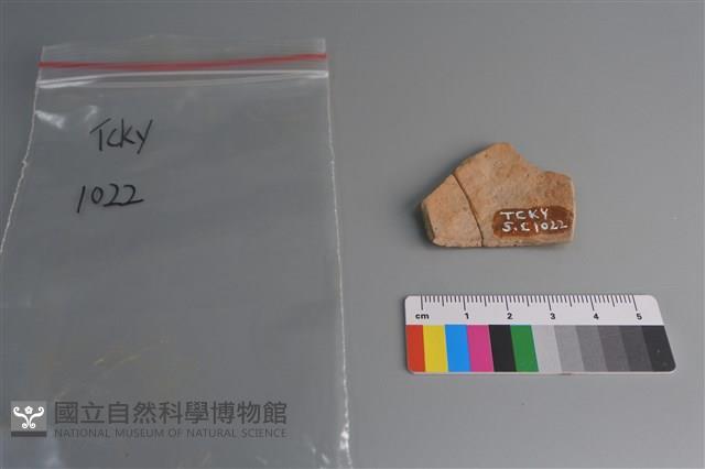 陶片藏品圖，第2張