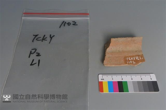 陶片藏品圖，第2張