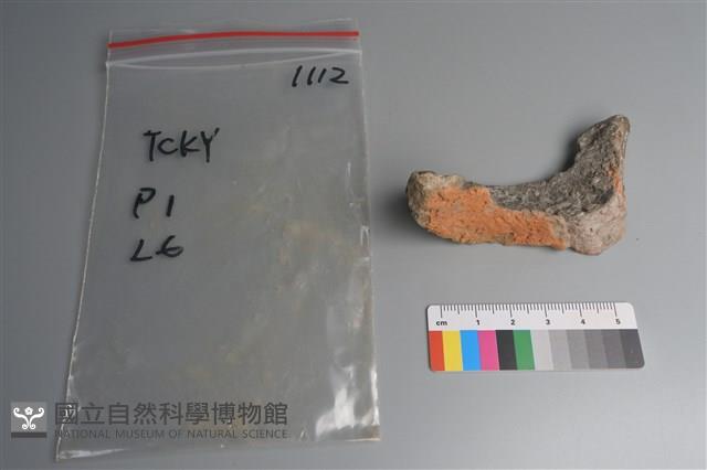 連杯形器藏品圖，第2張