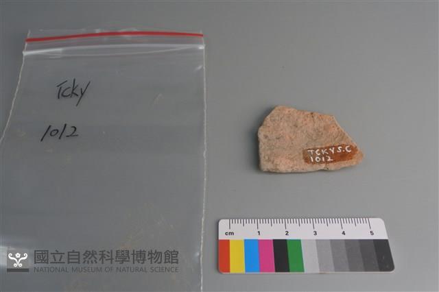 陶片藏品圖，第2張