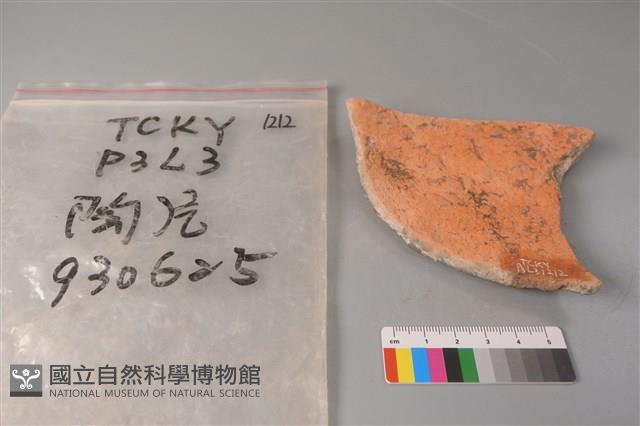 陶片藏品圖，第2張