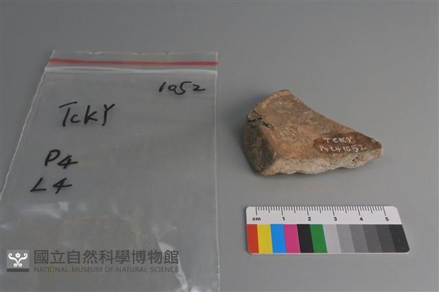 陶片藏品圖，第2張