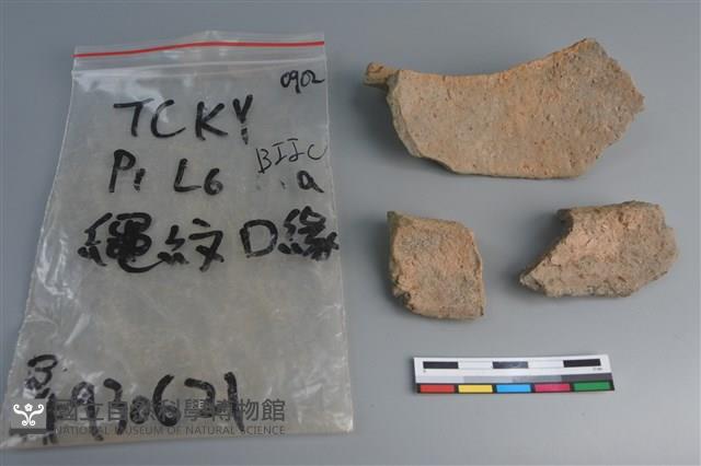 陶片藏品圖，第2張